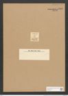 Synedra falcata Rabenh. (de-Toni-Nr.: Genus 66, Species 2619) Zeichnungen Sammlung Grunow Nr. 5352 (NHMW-BOT-W0373761)